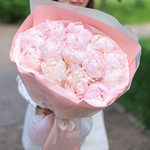 Воздушный букет из 15 очаровательных пионов