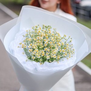 Букет ароматных ромашек