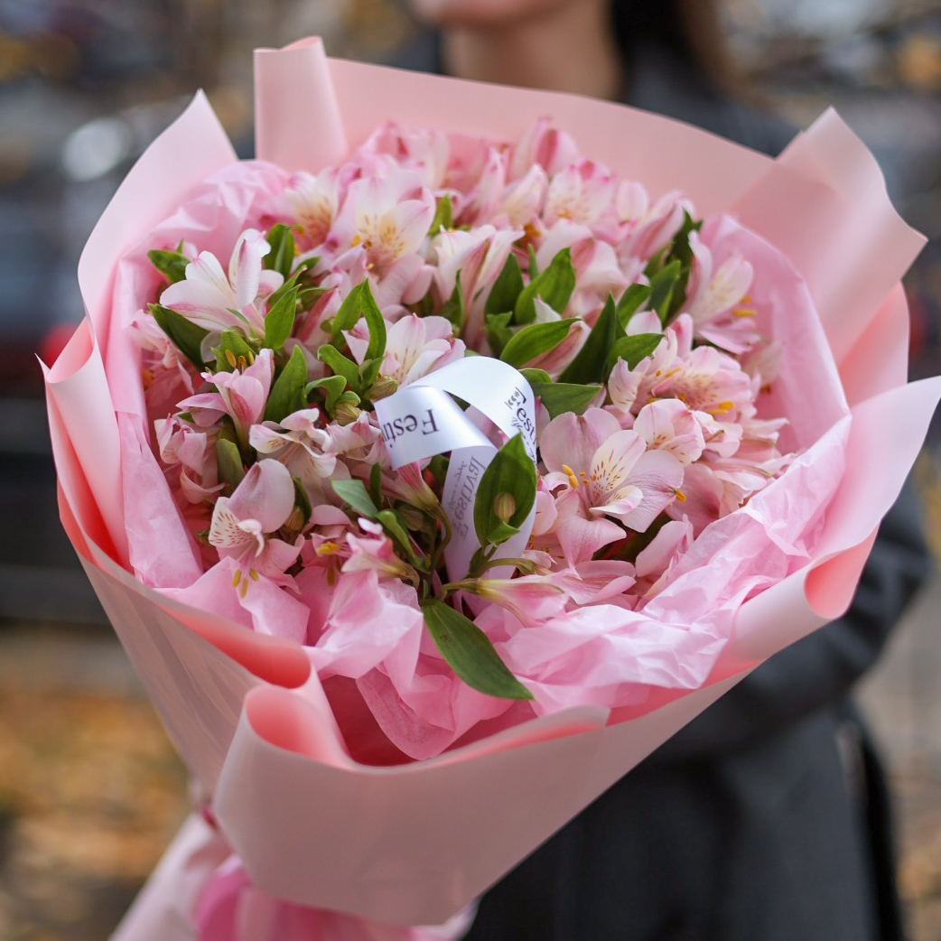 49171330-ac09-4f66-8a2f-1eaedbc65a67