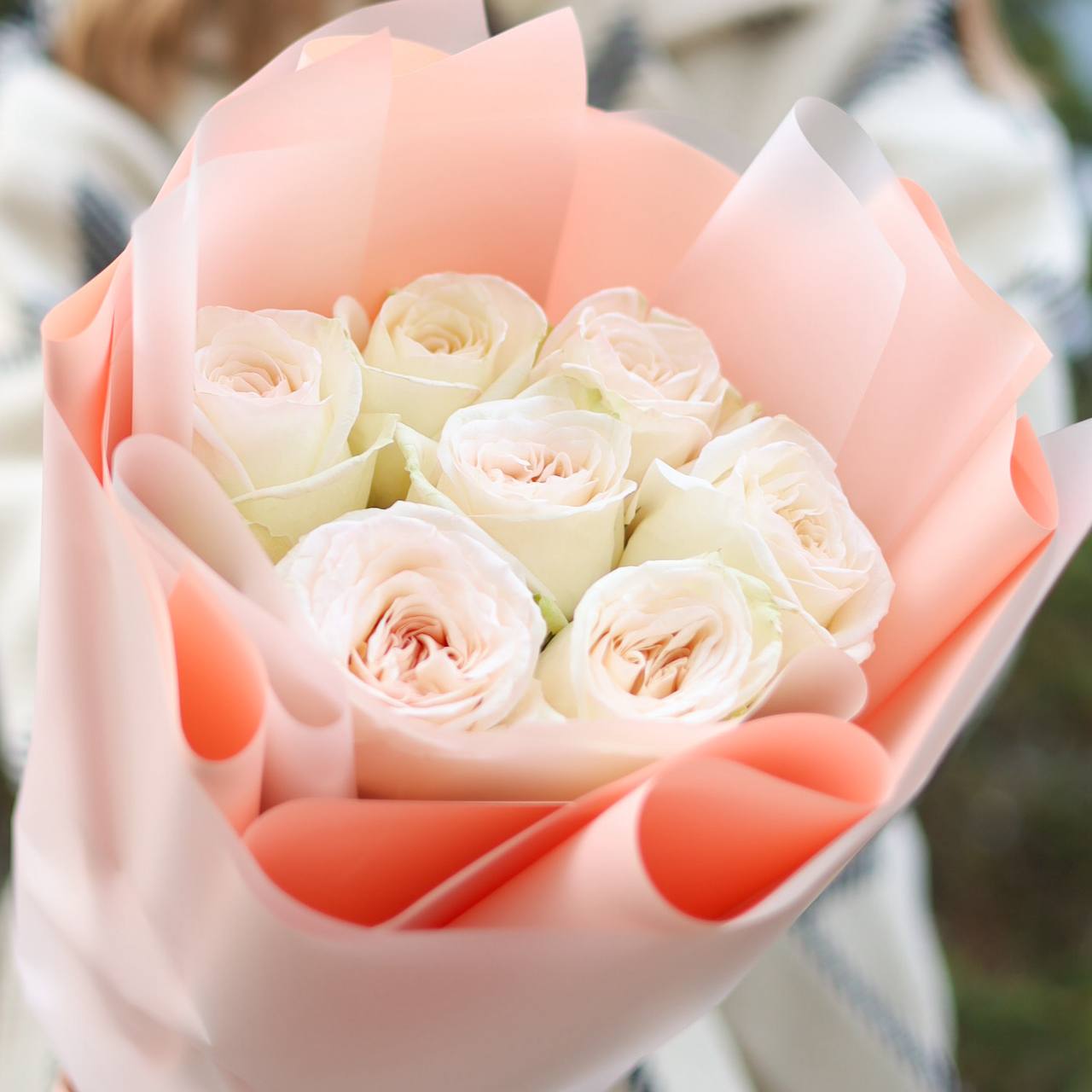 photo_3_2025-11-17_13-39-44