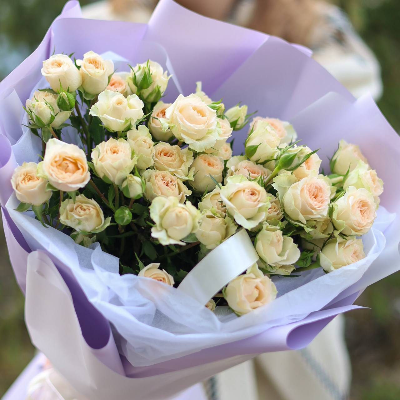 photo_7_2025-11-17_13-39-44