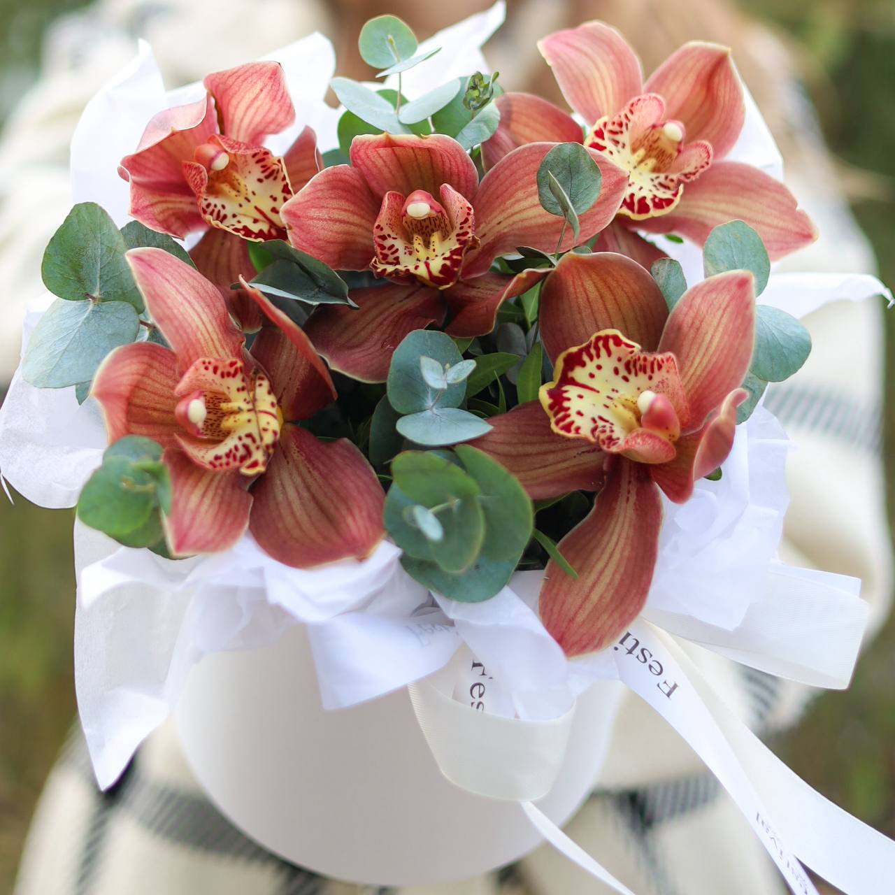 photo_9_2025-11-17_13-39-44