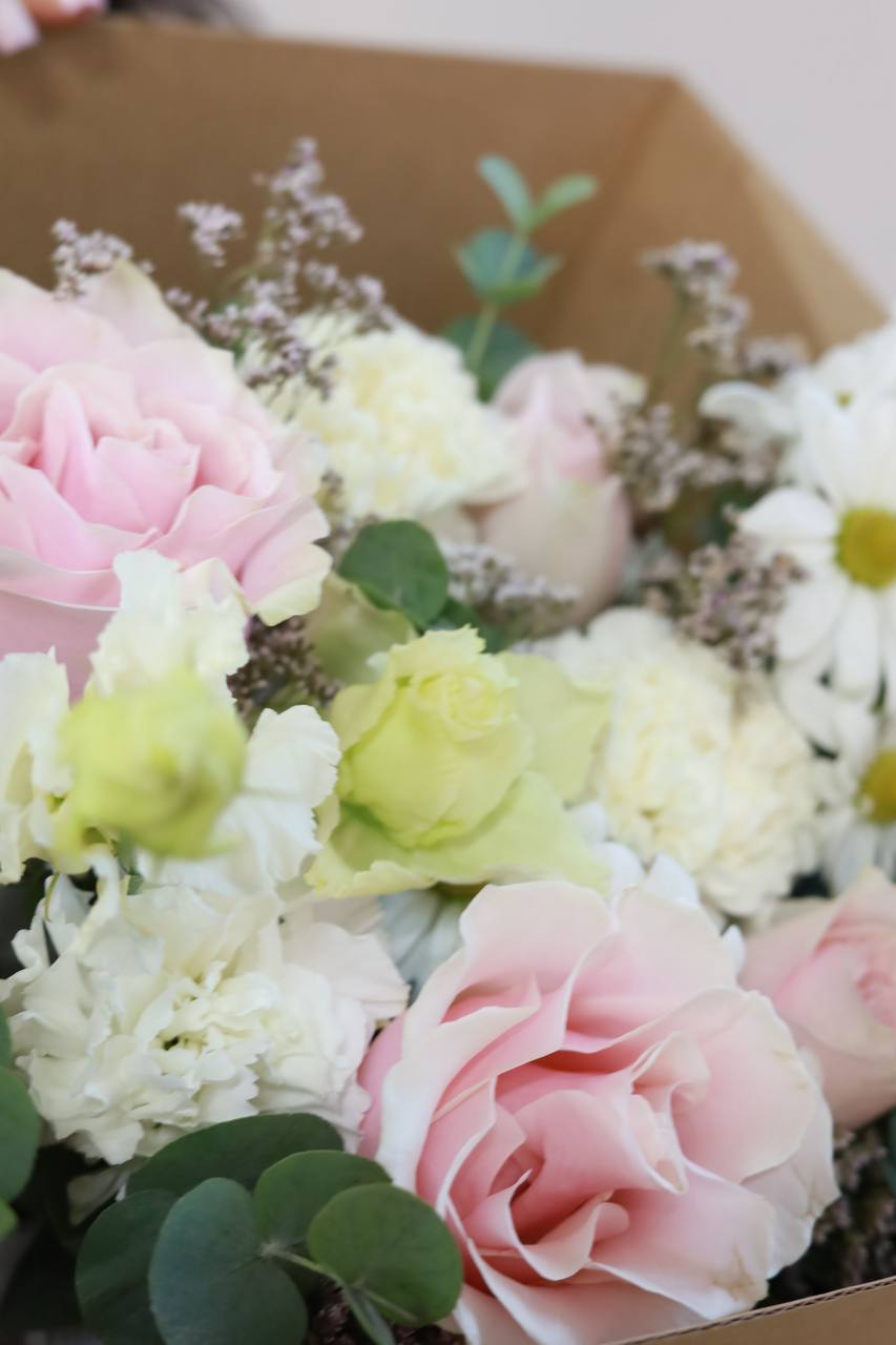 photo_10_2025-12-06_15-17-01