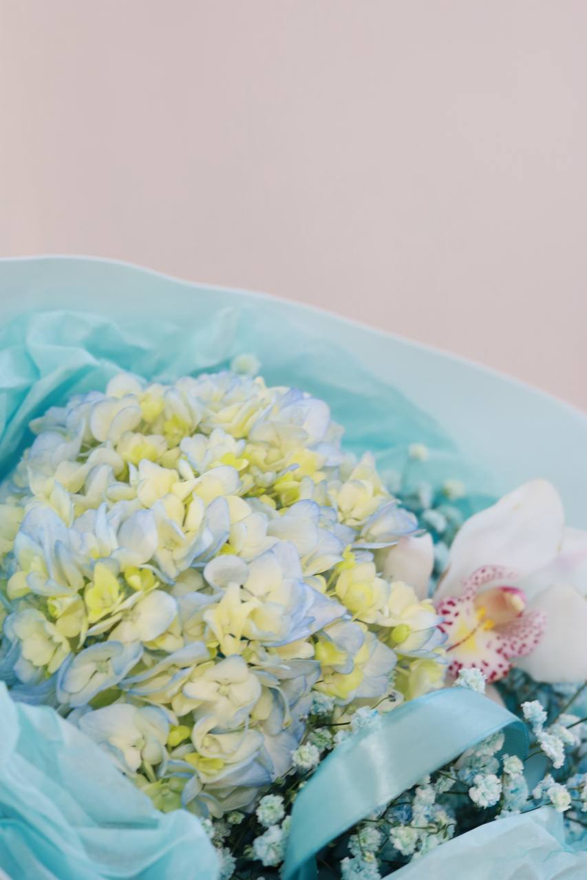 photo_13_2025-12-06_15-17-01