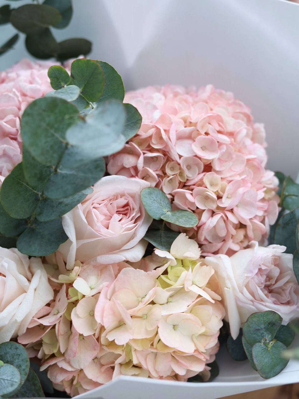 photo_2025-12-06_16-31-15