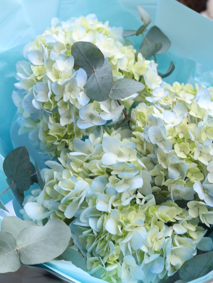 photo_2025-12-06_16-43-03