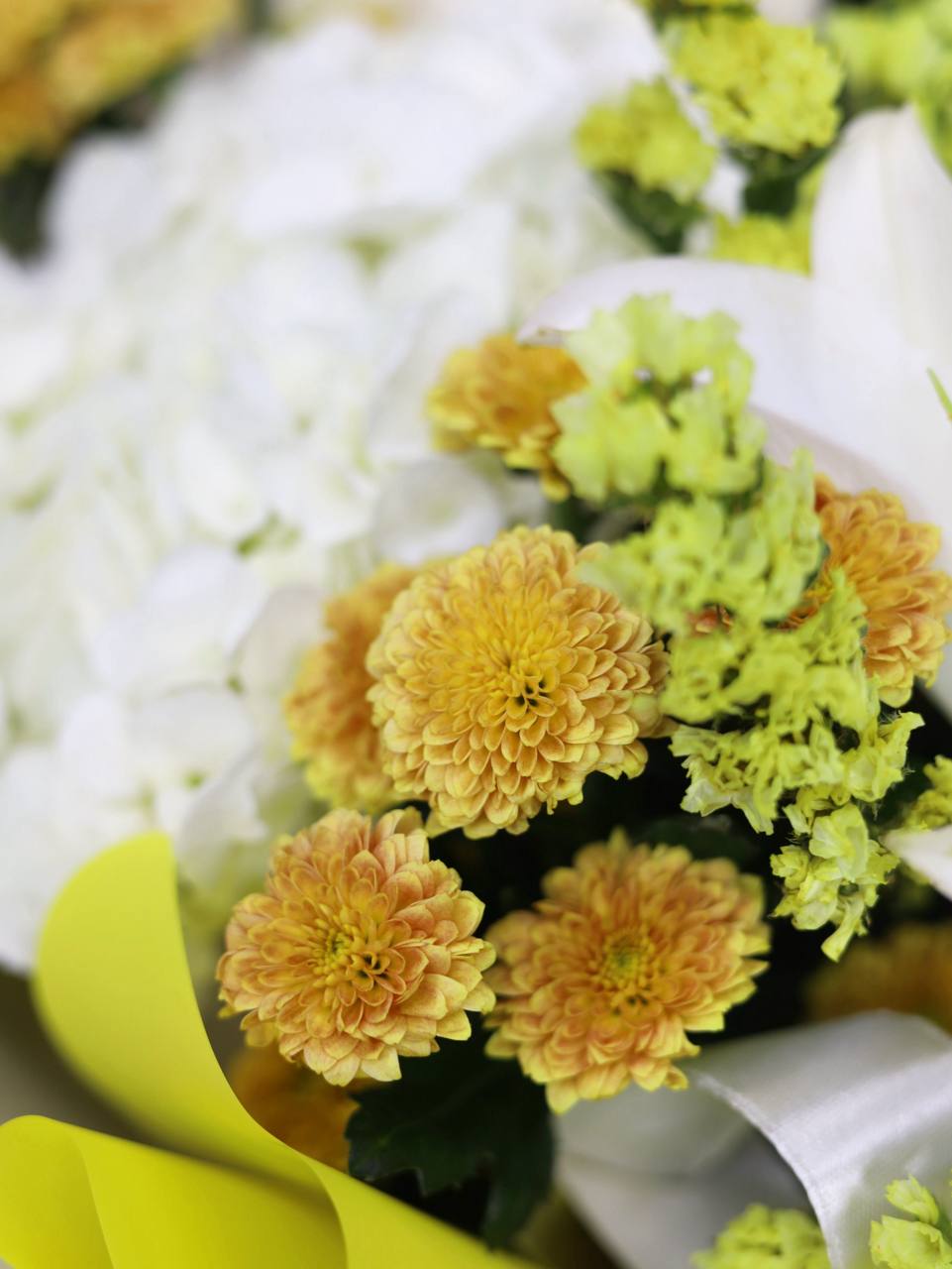 photo_2025-12-06_16-58-22