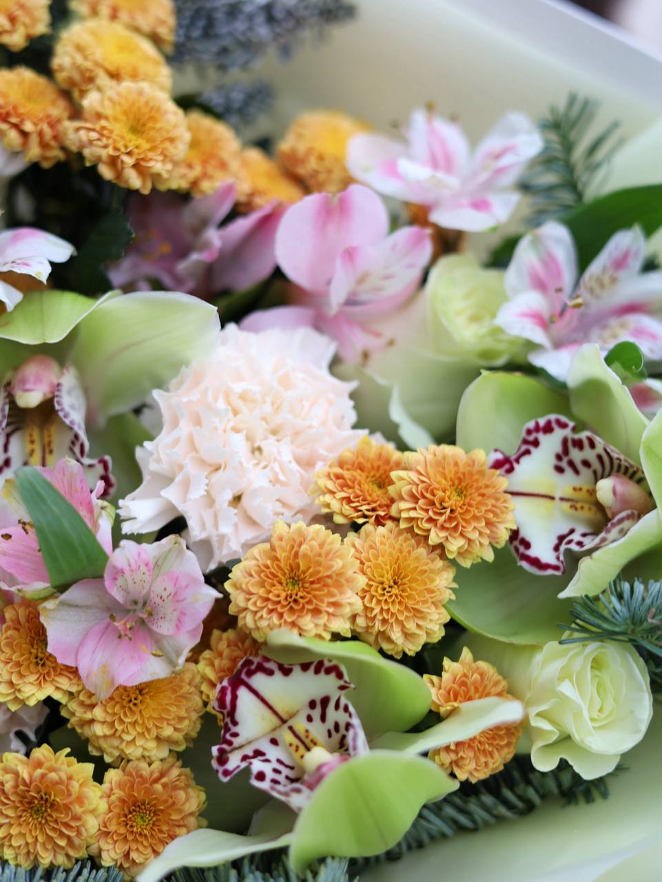 photo_2025-12-07_10-06-13