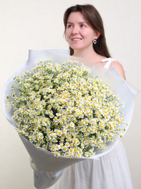 Большой букет ромашек